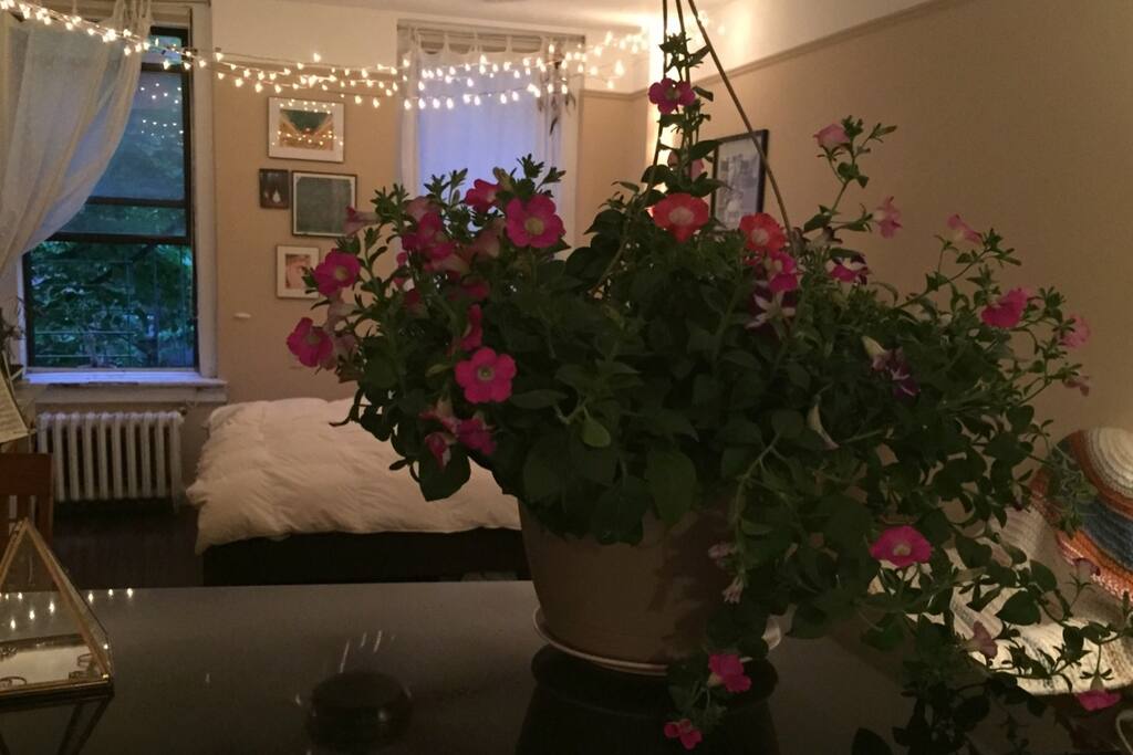 view from the kitchen