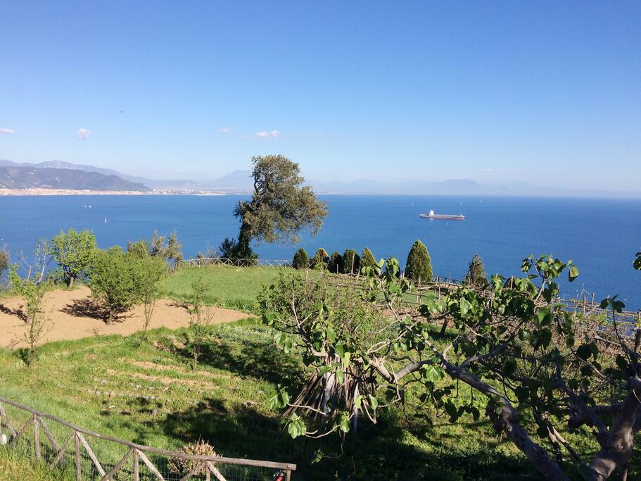Sopra il Limoneto: orto e terrazze