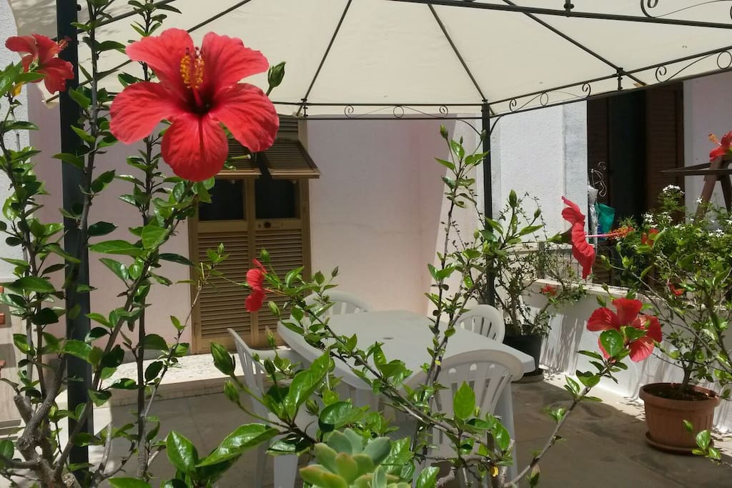 Il verde e i fiori che decorano