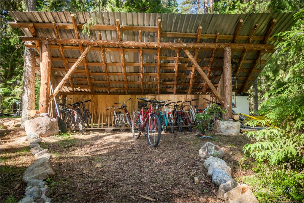 Free bike rental to explore the park
