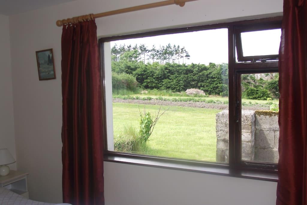 view from twin room window