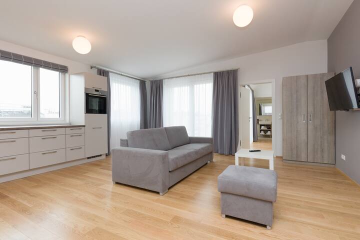 Tabor Penthouse with Terrace gallery image 5