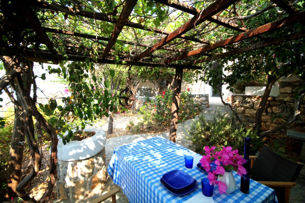 Shady, private garden