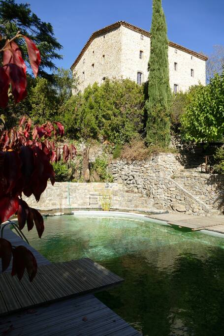 Piscine naturelle
