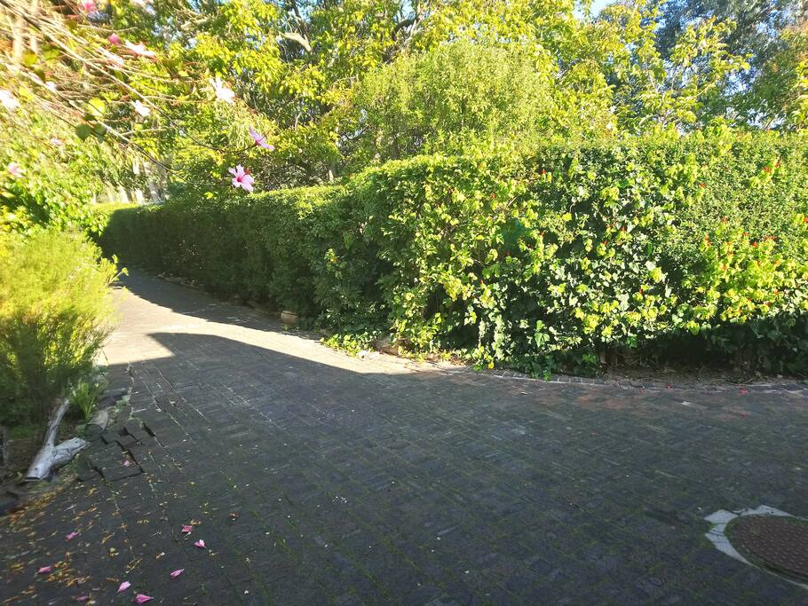 Drive Way To Parking