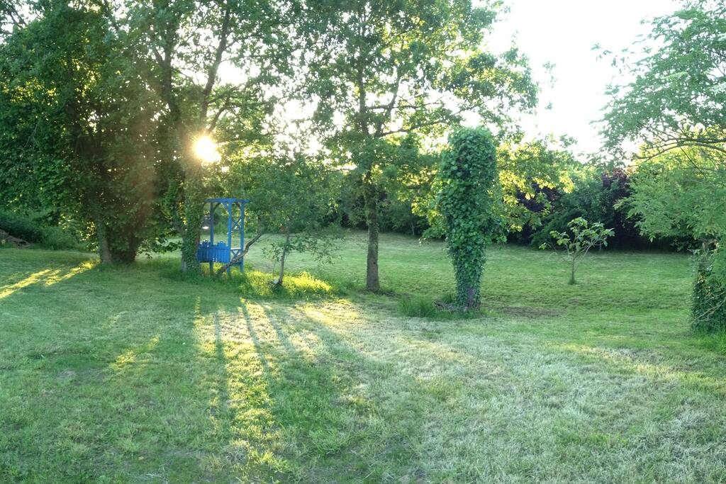 Large shared garden