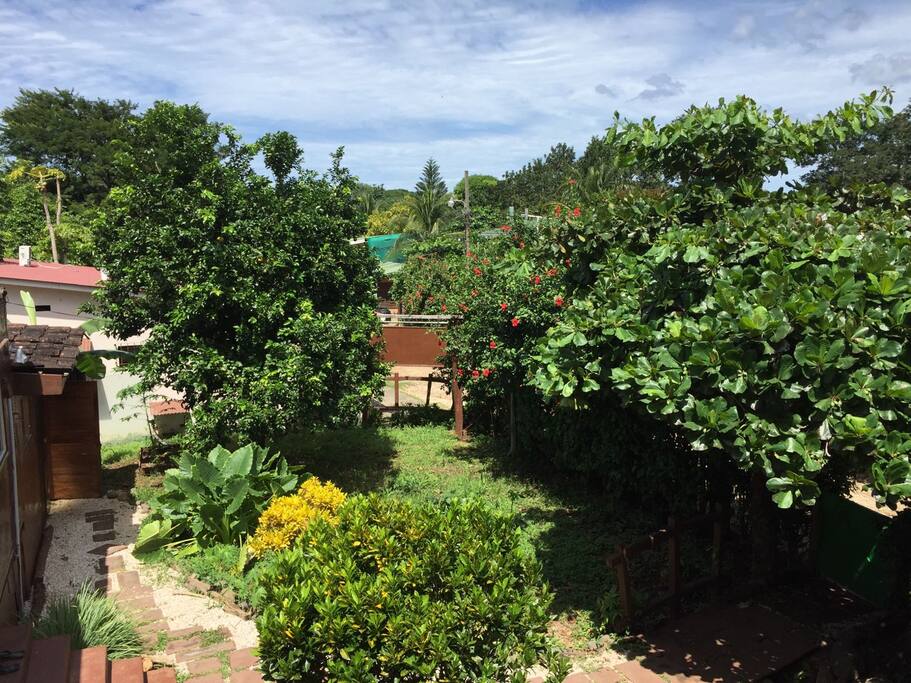 View from window of our property.