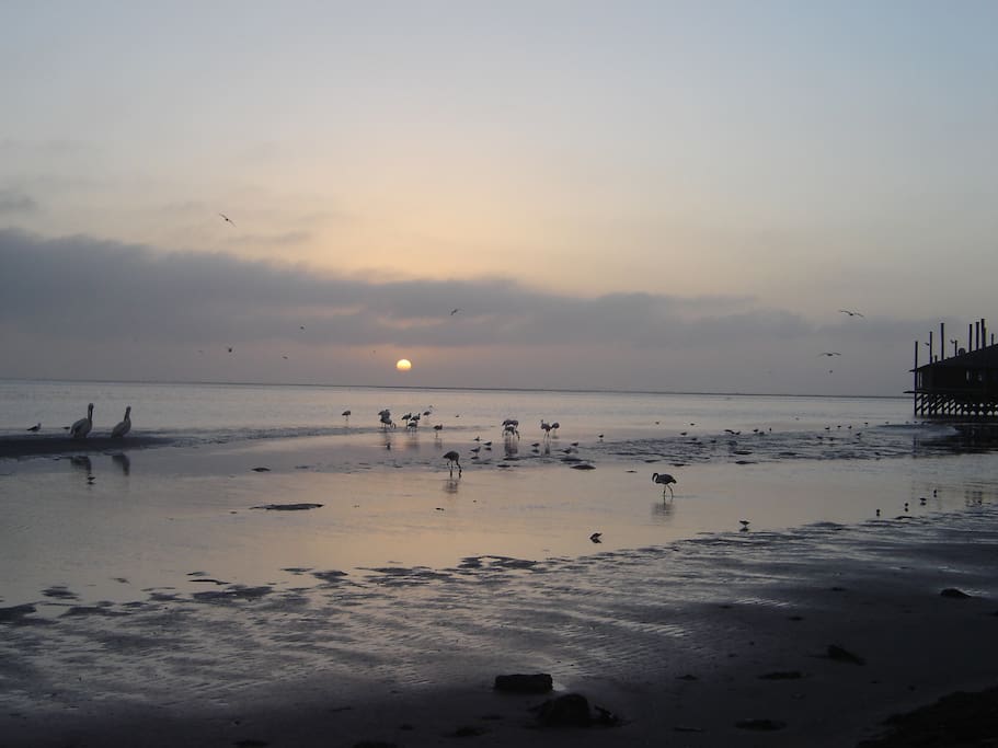 Sun set view
