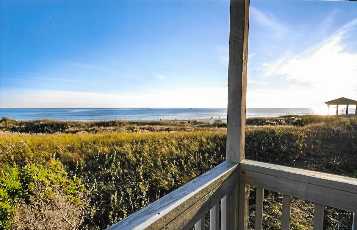 A serene view from the screened porch captures the ocean and sandy beach. Gentle waves meet the shore under a clear blue sky, while lush greenery frames the foreground, providing a sense of tranquility and connection to nature.