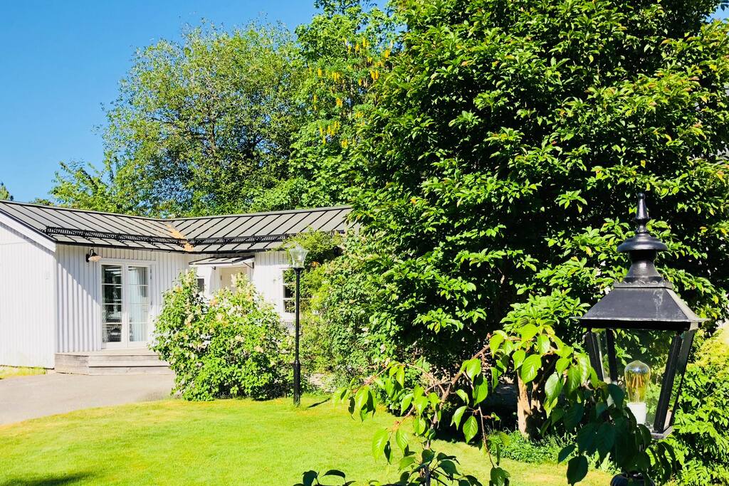 The house from the garden