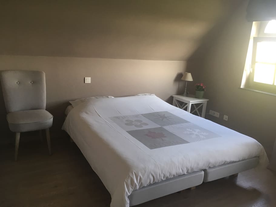 Ruime gezellige kamer
