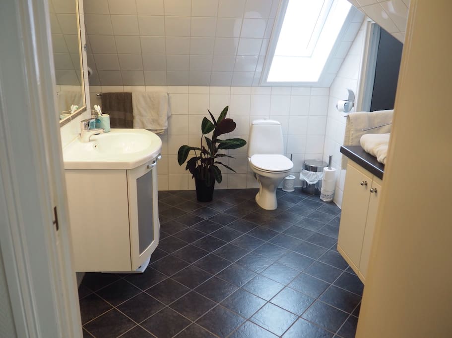 Big, clean bathroom with both shower and bathtub in second floor. Small bathroom also on first floor, connected with master bedroom