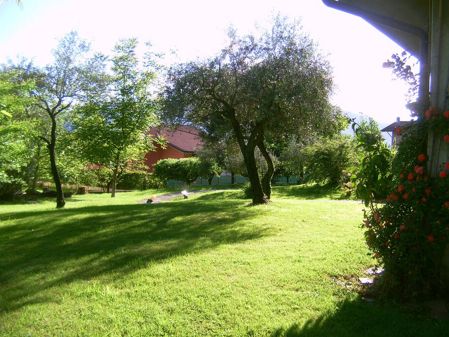 giardino
