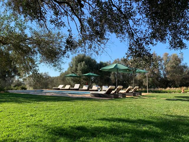 Los Hibiscus – a luxury contemporary finca gallery image 3