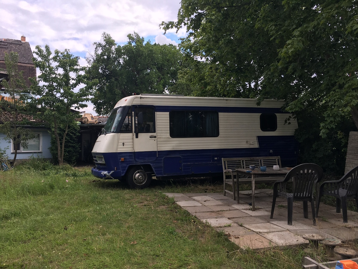 A classic American motorhome is nestled under lush trees in a green natural garden. A paved seating area with a dining table and chairs is nearby, offering a relaxing outdoor space surrounded by nature.
