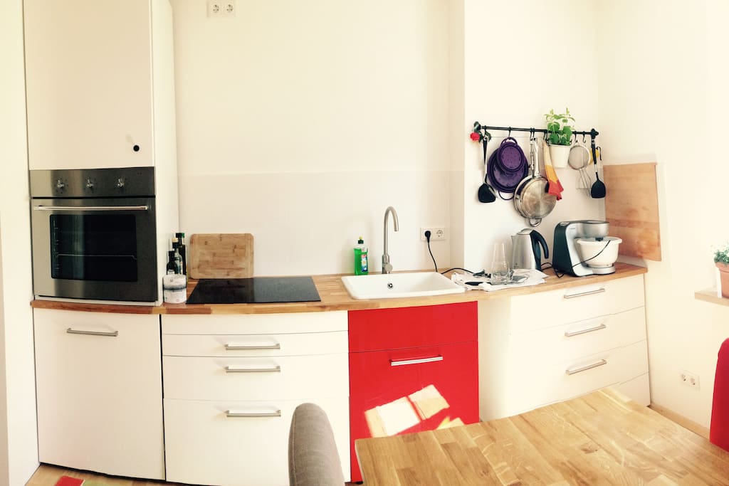 Colourful kitchen with Induction Stove & Oven & Fridge - we share this space