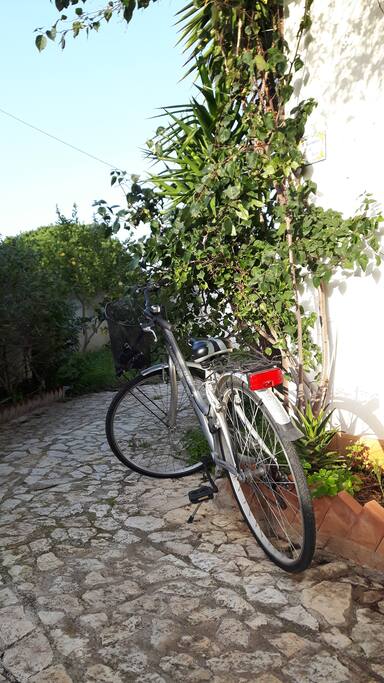 Verso il giardino