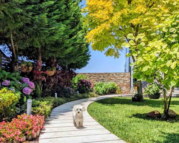 Waterfront Oasis | Infinity Pool | Gardens | Sauna gallery image 4