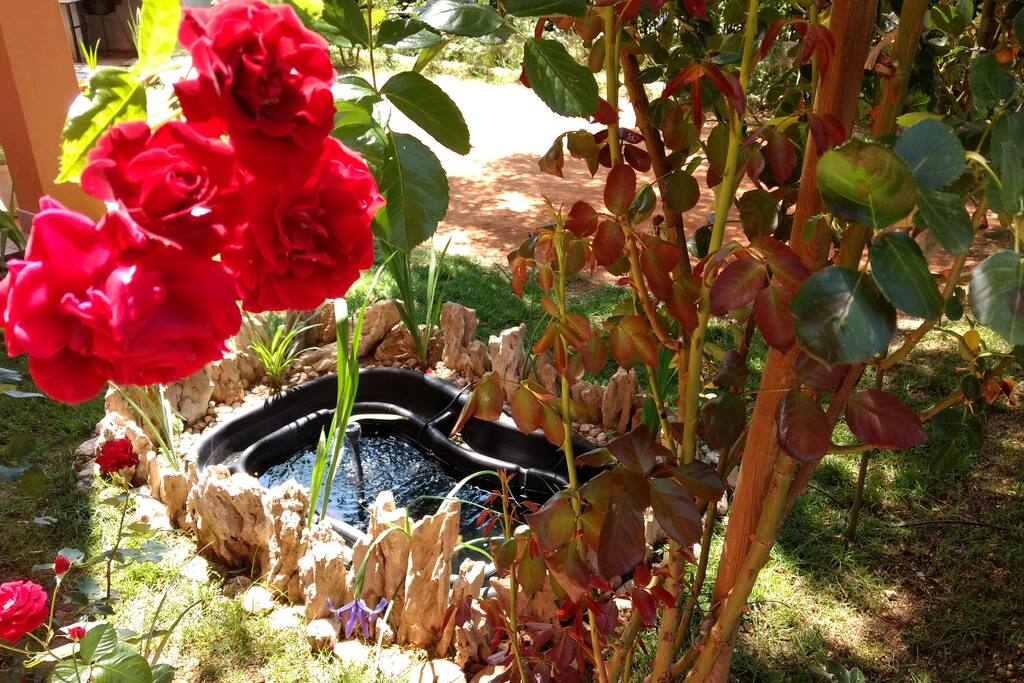 Improved Garden 2