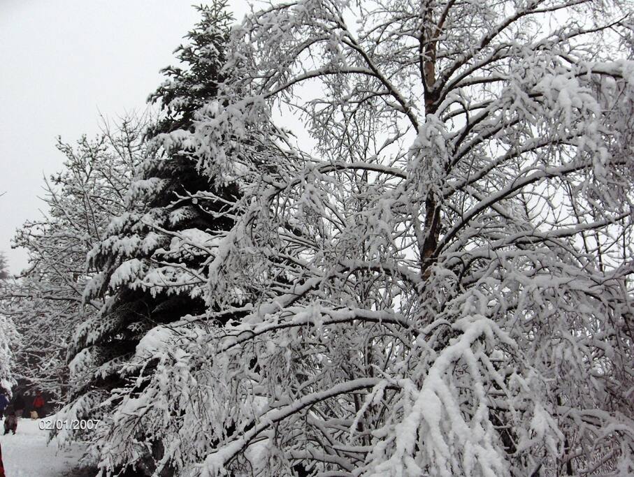 Vive la neige