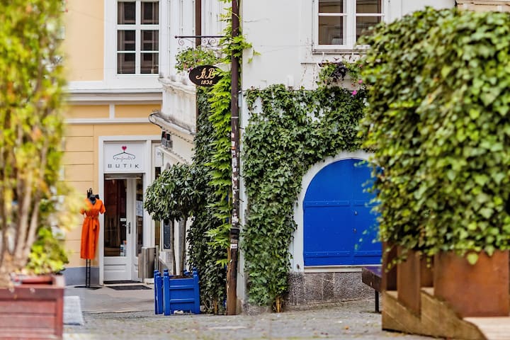 AB Ljubljana managed Airbnb listing 3