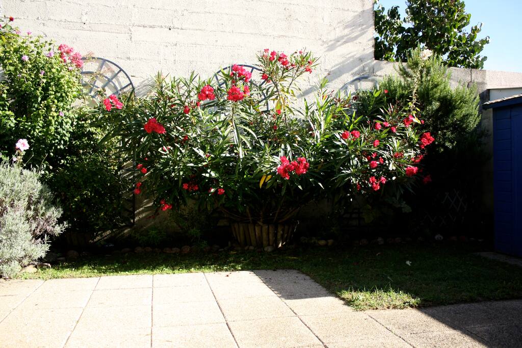 jardin clos avec terrasse - sans vis-à-vis