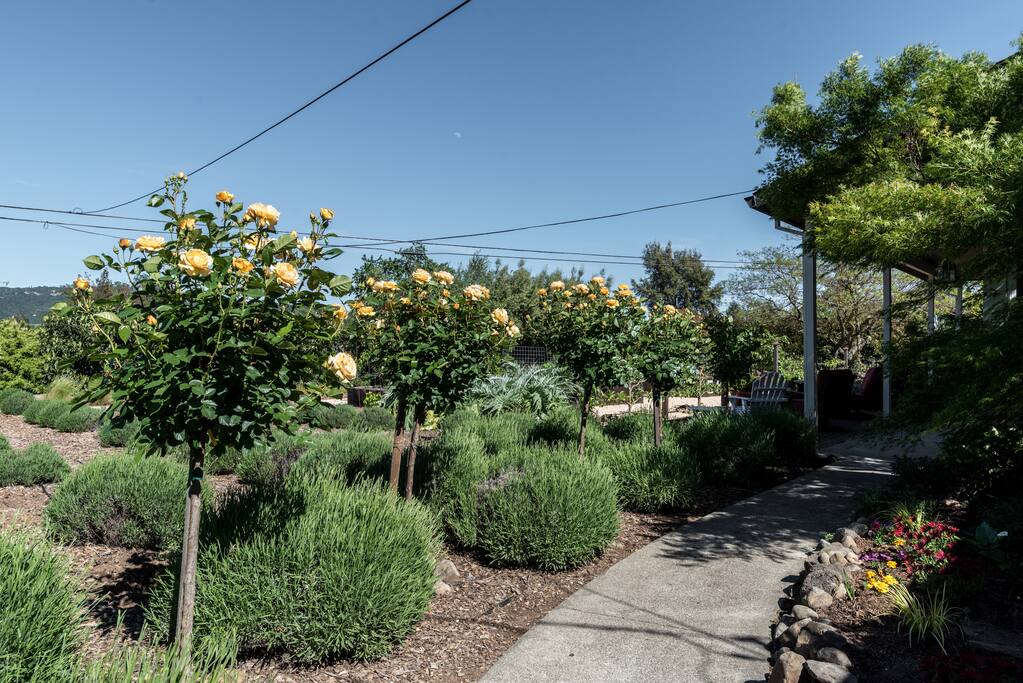 Walk the Gardens