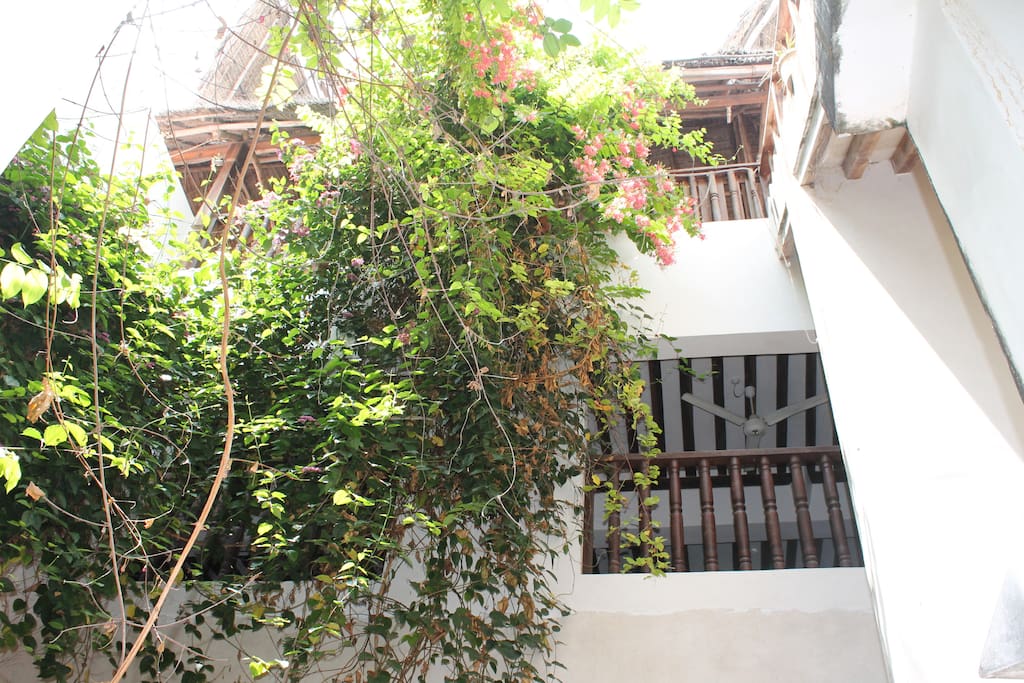 vines of fragrance at the atrium