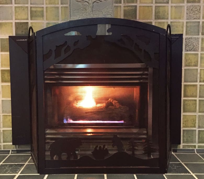 "The fireplace was a great touch of warmth and ambience" Geri