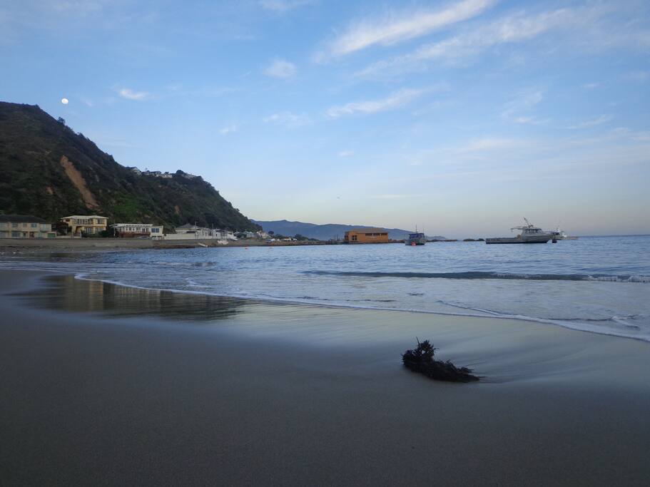 Island Bay beach at moonlight