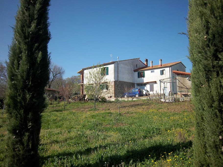 Giardino interno