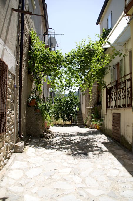 the street / la strada