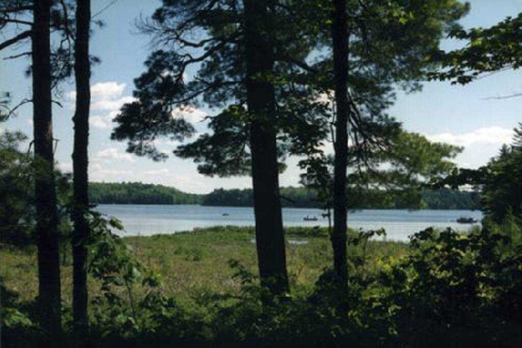 The view from the living room