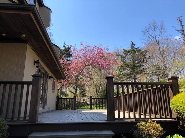 Westerly Villa with Spectacular Views gallery image 5