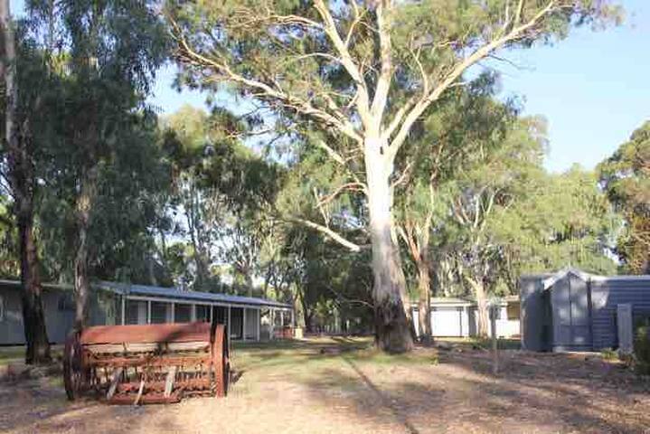 Aintree Cottage Dormitory Accommodation gallery image 5