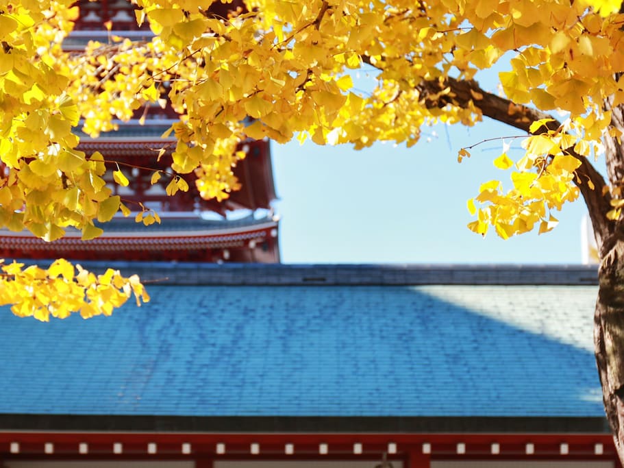 正当季 浅草寺的秋天 台东区旅游攻略 尽在airbnb爱彼迎