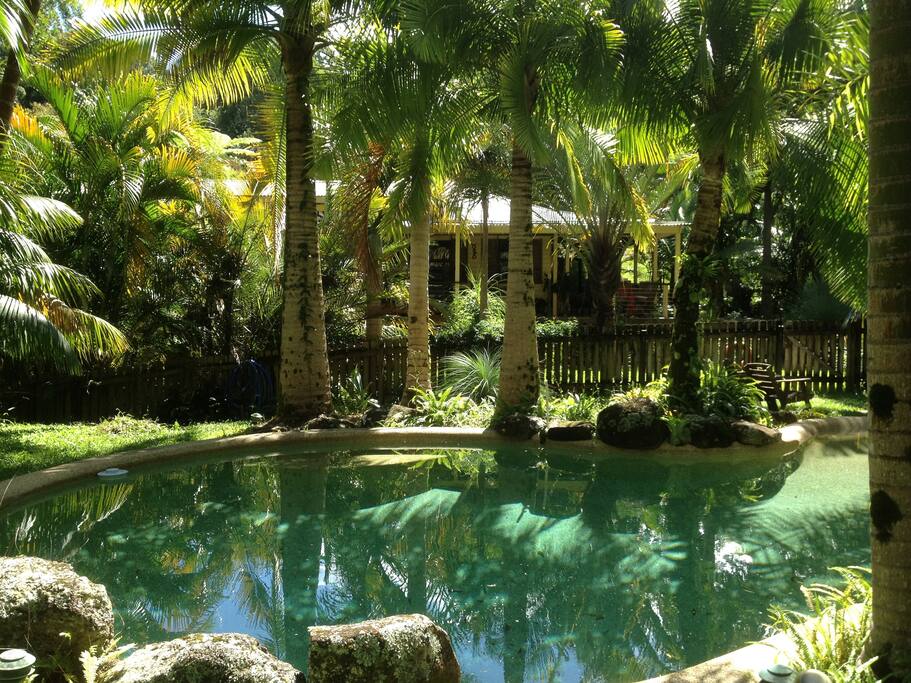 Resort style pool