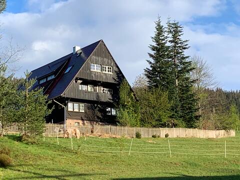 Idyllic forest house 2 apartments for family reunions