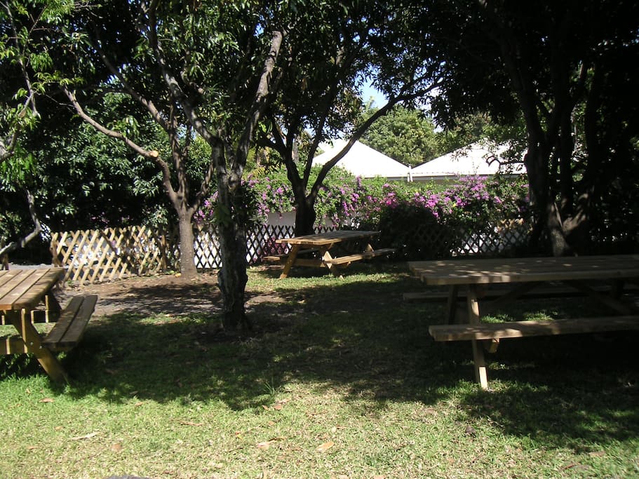 jardin aménagé pour recevoir