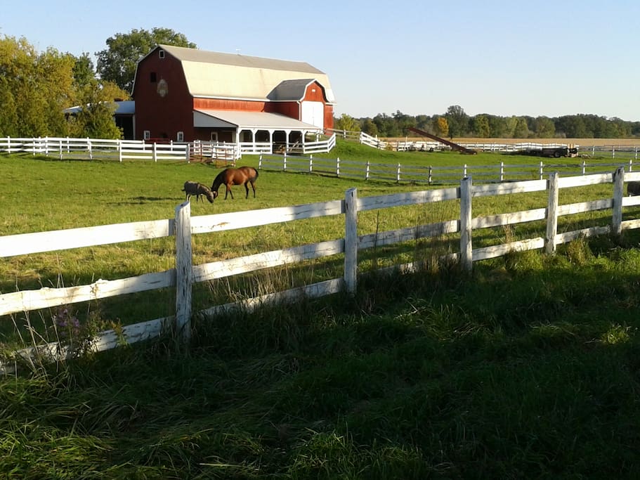 View of our barn