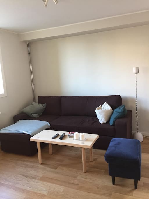 The living room has a sofa bed that fits two people