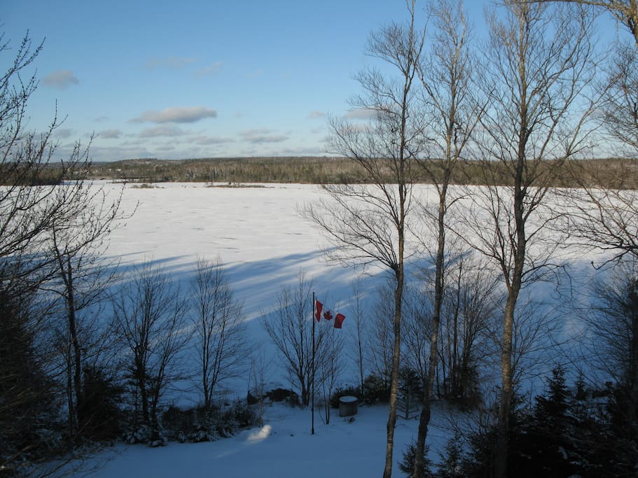 lake view in winter
