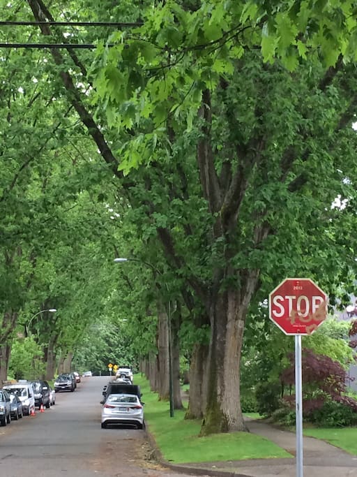 Dunbar neighborhood