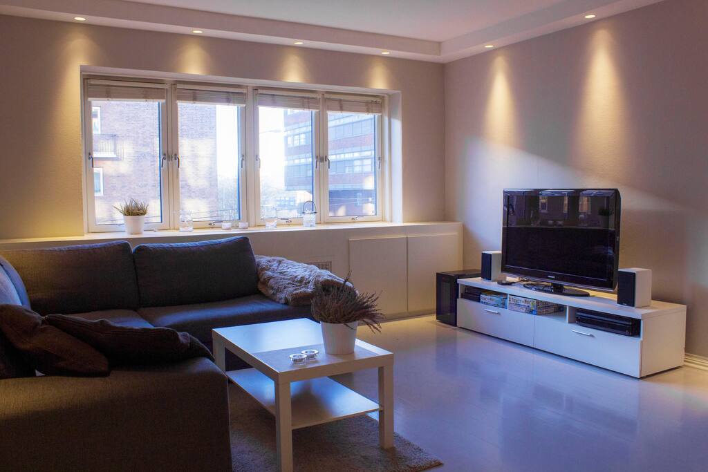 Comfortable sofa. Cable TV with lots of channels, Wifi, AppleTV with Netflix and BluRay player.