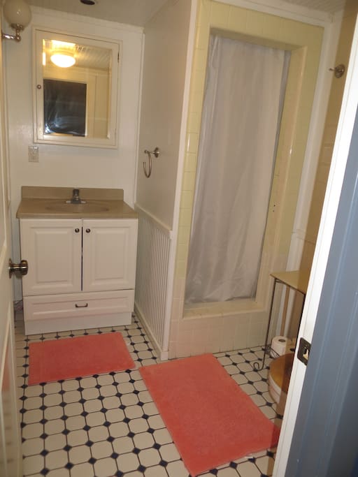 Bathroom with shower stall.