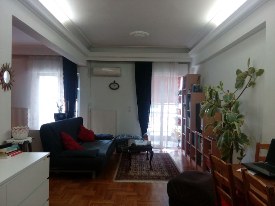 Living Room with sofa bed