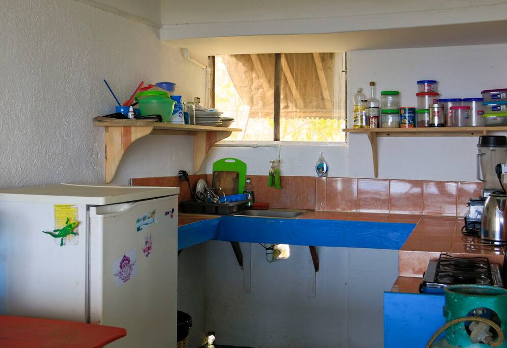 The kitchen