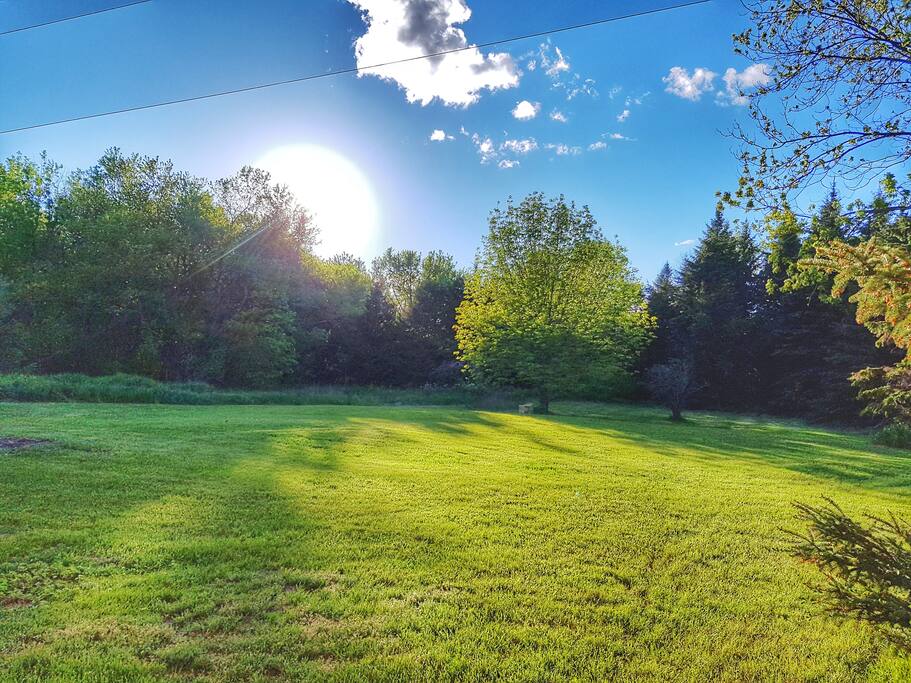 Garden View from rooms with guest only fire pit and lots of stars!