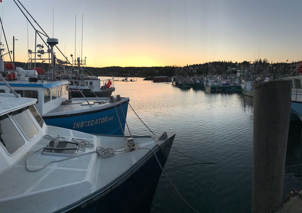 North Head Fishermans Wharf, a two minute walk.