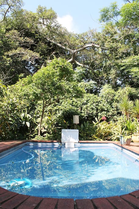 Pool in tropical garden - there is also an orchid house to relax or read a book